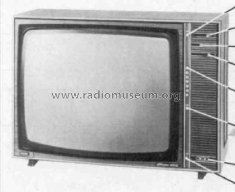 Goya 110 Luxus - D26K160 D 26 K 160 Ch=K8D; Philips Radios - (ID = 249560) Televisore