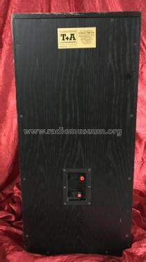 Transmissionline-Box Criterion TMR100; T+A Elektroakustik; (ID = 2370207) Speaker-P