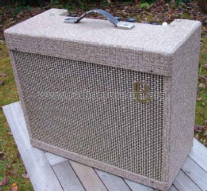 beltone amp