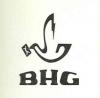 tbn_h_bhg_brand_logo.jpg