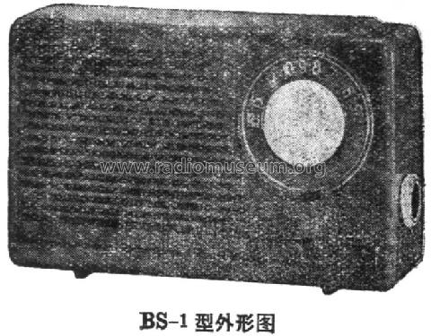 BS-1; Shanghai 上海仪表电... (ID = 802023) Radio