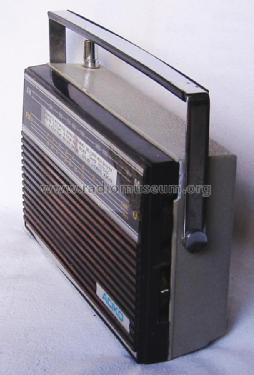 AM/FM 10-Transistor ; Aciko brand (ID = 1799054) Radio
