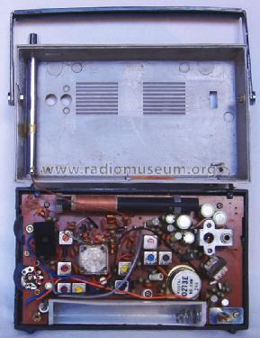 AM/FM 10-Transistor ; Aciko brand (ID = 1799057) Radio