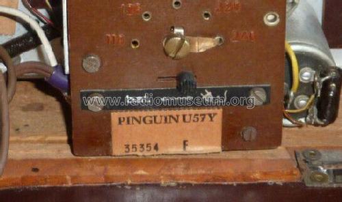 Pinguin U57Y; Akkord-Radio + (ID = 2623016) Radio