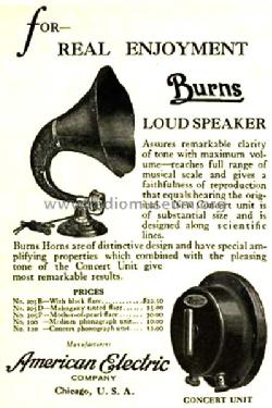 Burns Loudspeaker 205B; American Electric (ID = 1368245) Parlante