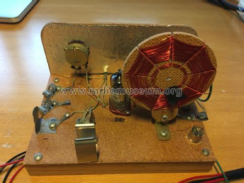 One Tube Regenerative Radio Kit; Unknown - CUSTOM (ID = 2305819) Kit