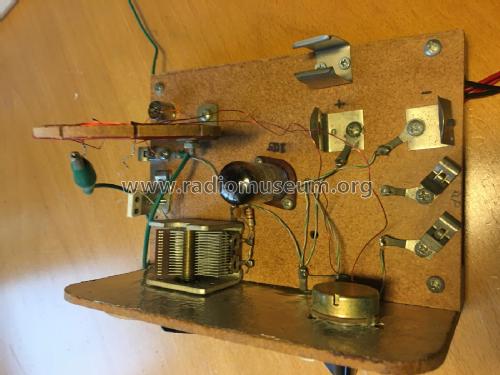 One Tube Regenerative Radio Kit; Unknown - CUSTOM (ID = 2305822) Kit