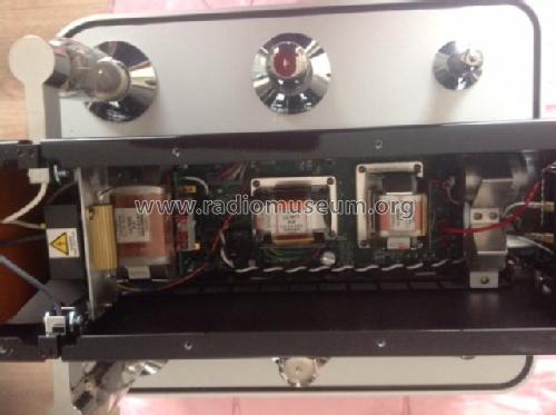 Monoblock Amplifier 50TNT; Audio Power Labs; (ID = 2699416) Ampl/Mixer