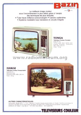 Sumatra ; Bazin Électronic, (ID = 2096948) Télévision