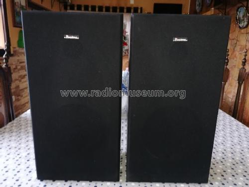 2-Way Speaker System unknown; Binatone; Global (ID = 2829971) Speaker-P