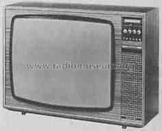 Mantua Color 7.663.474; Blaupunkt Ideal, (ID = 329313) Television