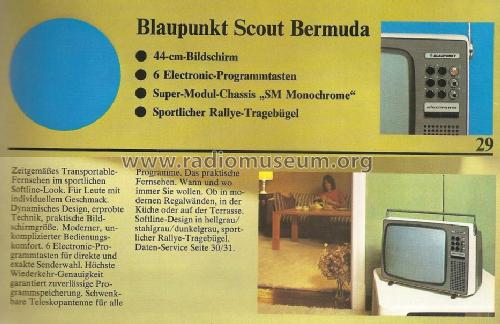 Scout Bermuda 7675250; Blaupunkt Ideal, (ID = 1533199) Television