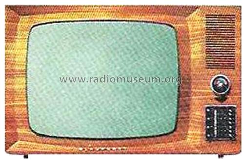 CTV2002 7.668.310; Blaupunkt Ideal, (ID = 2931895) Television