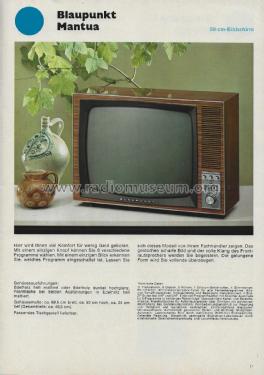 Fernseher Kofferradio Heimradio Autoradio , Katalog 1968; Blaupunkt Ideal, (ID = 2814014) Paper