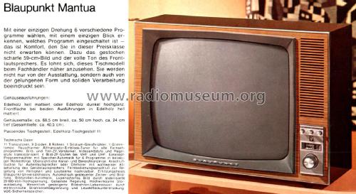 Mantua 7.677.160; Blaupunkt Ideal, (ID = 2948152) Television