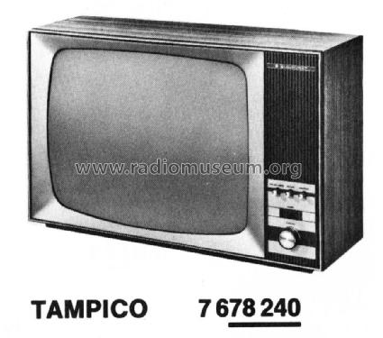 Tampico 7.678.240 Seriew Z; Blaupunkt Ideal, (ID = 2937493) Television