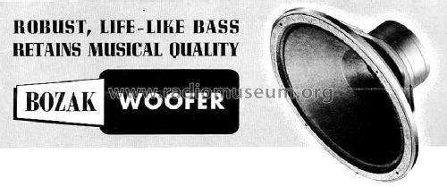 Woofer B-199; Bozak, R.T., Co.; (ID = 2387295) Speaker-P