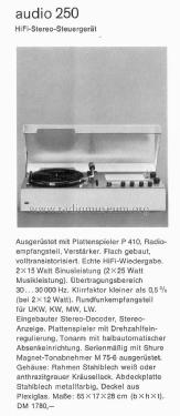 Audio 250 Ch= TC45/4; Braun; Frankfurt (ID = 1753503) Radio