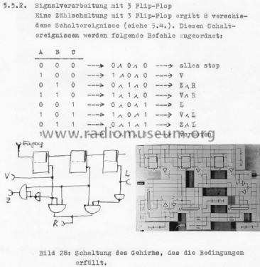 Lectron Drahtloses Fernlenkmodell ; Braun; Frankfurt (ID = 1876649) teaching