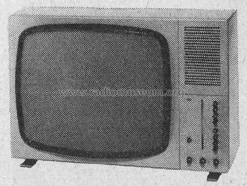 FS600; Braun; Frankfurt (ID = 300914) Television