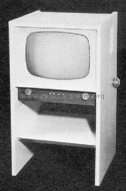 FS-G Ch= Telefunken FE11/43T; Braun; Frankfurt (ID = 58429) Television