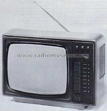 Polo ; Bruns; Hamburg (ID = 442944) Television