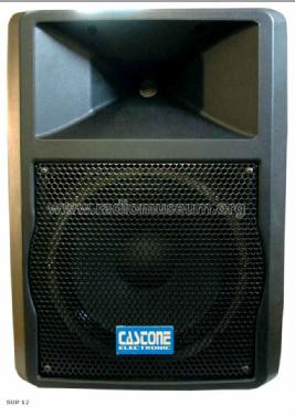 HiFi Speaker SUP12; Castone Electronic (ID = 1696188) Speaker-P