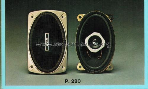 Altoparlanti a Due Vie P220; CGM elettronica; (ID = 2719172) Speaker-P