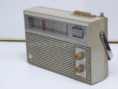 Wealth 169 S 1; Funai Electric Co., (ID = 1577795) Radio