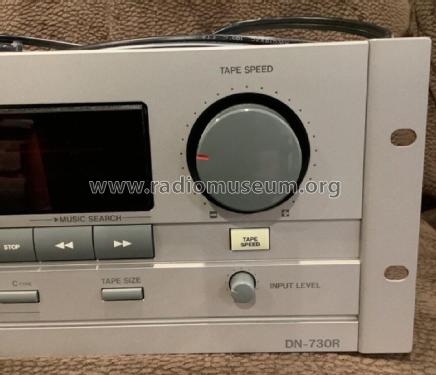 Stereo Cassette Tape Deck DN-730R; Denon Marke / brand (ID = 2973670) Enrég.-R