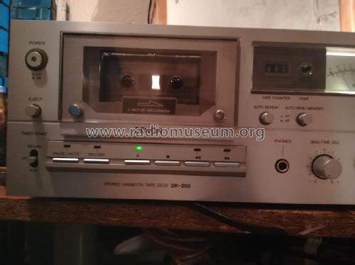 Stereo Cassette Tape Deck DR-250; Denon Marke / brand (ID = 2462468) Sonido-V