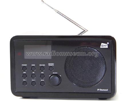 IP Diamond 20314; DNT Drahtlose (ID = 2872890) Radio