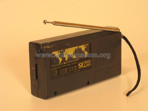 World Receiver ; DNT Drahtlose (ID = 155453) Radio