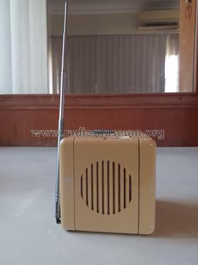 DUNHILL AM/FM Cube Quartz Clock Radio ; Dunhill; Where? (ID = 2943421) Radio