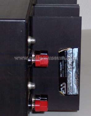Model 200 Power Amplifier ; ESS Electrostatic (ID = 1013614) Verst/Mix