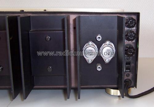 Model 200 Power Amplifier ; ESS Electrostatic (ID = 1013616) Ampl/Mixer