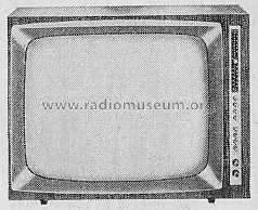 Diamant 666; Emud, Ernst Mästling (ID = 290768) Television