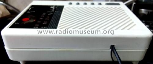 Digital Alarm Clock Radio Art.No. 6021; ESC, Electronic (ID = 3084543) Radio