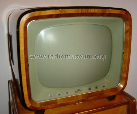 TV 310; Eumig, Elektrizitäts (ID = 105991) Fernseh-E