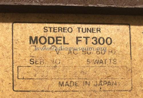 Solid State AM/FM Stereo Tuner FT-300; Expo International (ID = 2734414) Radio