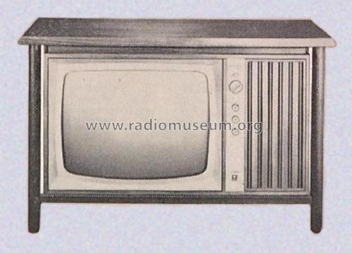 Dansk T25S1 Ch= T12V3C; General Electric- (ID = 3004059) Television