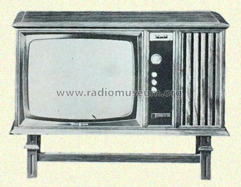 Esparanto T25M1 Ch= T12V4C; General Electric- (ID = 3004727) Television