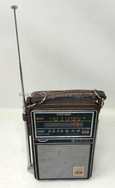 Globestar P965 ; General Electric Co. (ID = 2970209) Radio