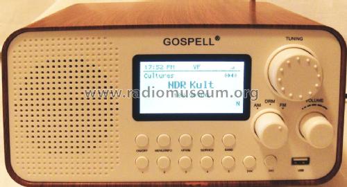 DRM/AM/FM Digital Radio GR-216; Gospell Digital (ID = 2950420) Radio