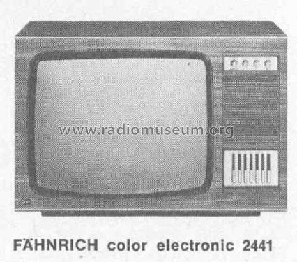 Fähnrich color electronic 2441; Graetz, Altena (ID = 380995) Television