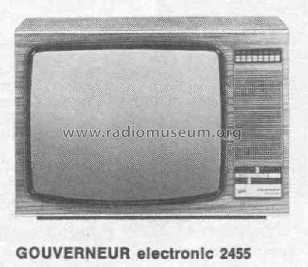 Gouverneur Electronic 2455; Graetz, Altena (ID = 443645) Television