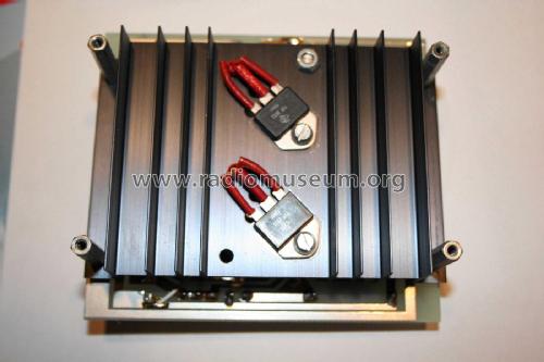 60 Watt Mono-Einschub mit Netzteil ; FG Elektronik, Franz (ID = 2217781) Ampl/Mixer
