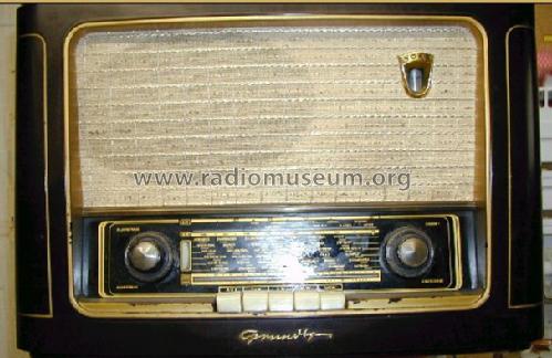 1041W; Grundig Radio- (ID = 28515) Radio