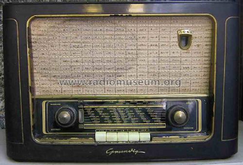 1041W; Grundig Radio- (ID = 454080) Radio