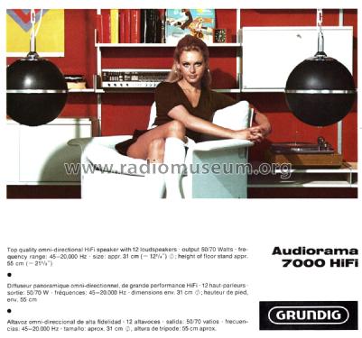 Audiorama 7000 HiFi; Grundig Radio- (ID = 2989420) Speaker-P